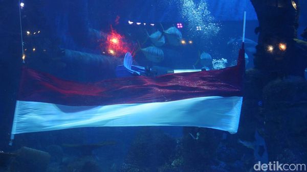 HUT RI, Bendera Sepanjang 25 Meter Dikibarkan di Aquarium Raksasa