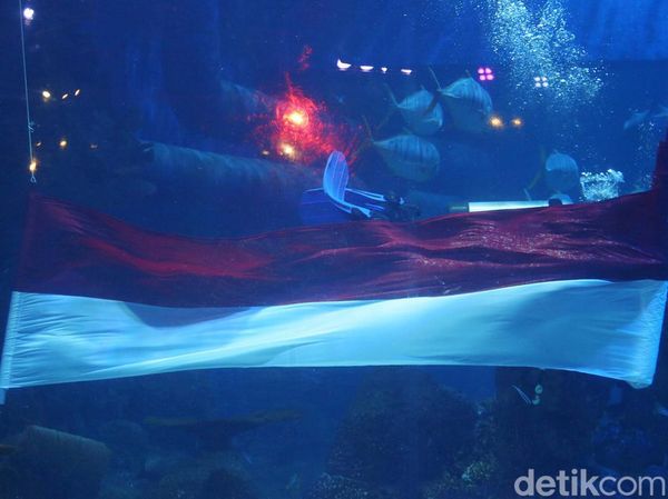 HUT RI, Bendera Sepanjang 25 Meter Dikibarkan di Aquarium Raksasa