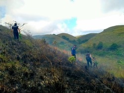 Hektaran Lahan di Bukit Teletubbies Nusa Penida Terbakar