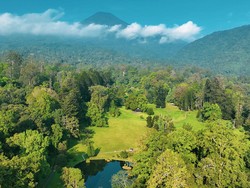 Polusi Jakarta Bikin Sesak, Bisa Cari Udara Segar di Kebun Raya