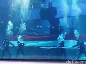 Akuarium Indoor Jadi Cara Warga Jakarta Rayakan HUT RI di Tengah Polusi Akuarium Indoor Jadi Cara Warga Jakarta Rayakan HUT RI di Tengah Polusi