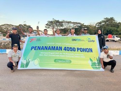 Peringati HUT Ke-78 RI, ASDP Tanam 4.050 Bibit Pohon di 27 Cabang Se-RI