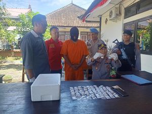 Jual Pil Koplo ke Pegawai Pelabuhan Gilimanuk, Anak Logam Dibekuk!