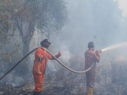 Karhutla di Dekat Tol Palindra Sumsel, Water Bombing Dikerahkan
