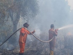 Karhutla di Dekat Tol Palindra Sumsel, Water Bombing Dikerahkan