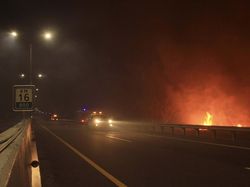 Bahaya! Kebakaran Lahan Dekati Tol Palembang-Indralaya