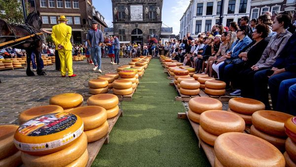 Kemeriahan Pasar Keju Gouda di Belanda yang Mendunia