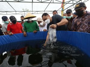 Entaskan Kemiskinan di Surabaya, Walkot Eri Cahyadi Gencarkan Padat Karya