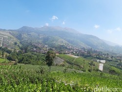 Dear Pendaki, Trek Merbabu via Selo Boyolali Ditutup 15 Hari