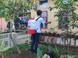 Penjelasan Disnakkan soal Belasan Kucing di Ciamis Mati Mendadak
