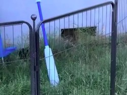 Kisah Viral Wanita Dengar Suara Aneh, Ternyata Orang Asing Tinggal di Rumah