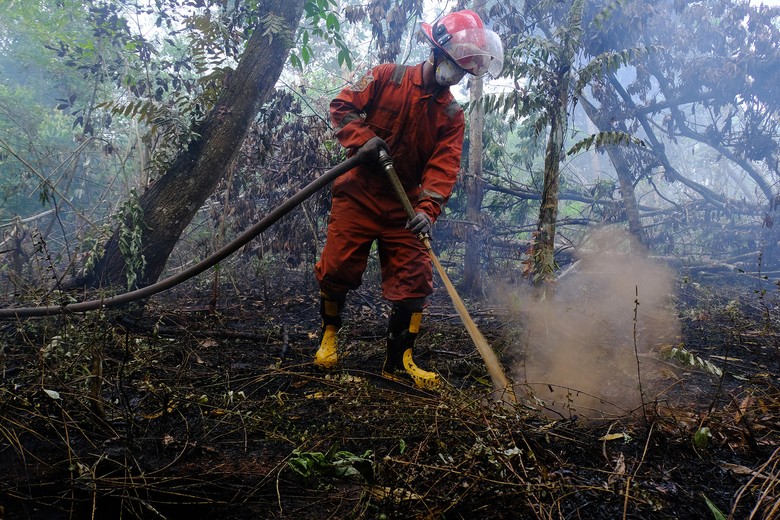 Hari Ke-10 Pemadaman Kebakaran Lahan Gambut di Riau