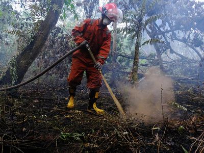Aksi Relawan Greenpeace Padamkan Kebakaran Hutan dan Lahan di Kalbar