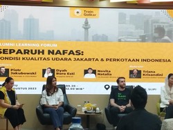 Legislator Targetkan UU Energi Terbarukan Segera Disahkan demi Kurangi Polusi