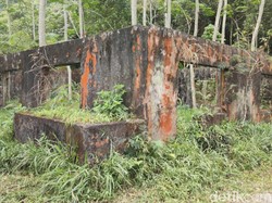 Menapaki Jejak Keganasan Erupsi Merapi 1994 di Turgo Sleman