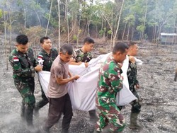 Wanita di Kapuas Hulu Tewas Terbakar Saat Buka Lahan untuk Tanam Padi