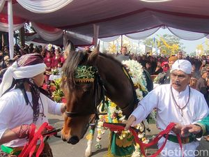 Asal Usul Kuda Kosong dan Cerita Diplomasi Cianjur-Kerajaan Mataram Asal Usul Kuda Kosong dan Cerita Diplomasi Cianjur-Kerajaan Mataram