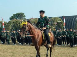 Pengacara Ini Pilih Upacara Kemerdekaan RI dengan Berkuda