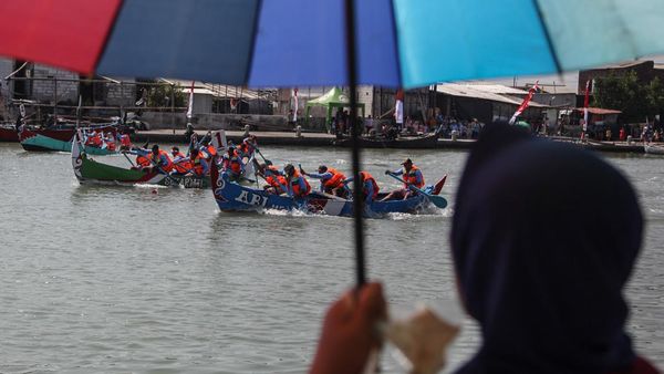 Melihat Keseruan Lomba Dayung Perahu Tradisional di Semarang