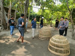 Kapolsek Se-Jombang Diperintah Berantas Habis Judi Sabung Ayam