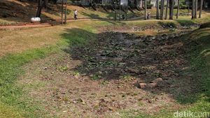 Terdampak Kemarau, Kolam Taman Langsat Jaksel Mengering