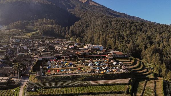 Yuk...Berkemah di Lereng Merbabu