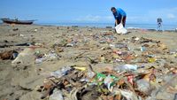 Aksi Bersih-bersih Sampah di Pantai Padang