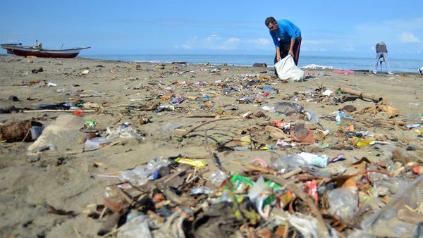 Aksi Bersih-bersih Sampah di Pantai Padang