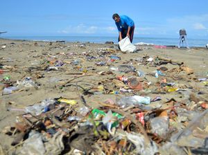 Aksi Bersih-bersih Sampah di Pantai Padang
