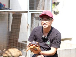 Resign dari PNS, Sukses Bisnis Kura-Kura Sulcata Omzet Puluhan Juta per Bulan