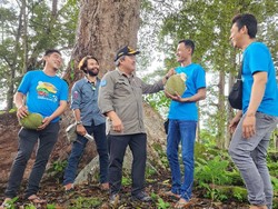 Eksplorasi Durian Pulau Kundur, Kementan Siap Bawa Potensi Lokal Mendunia
