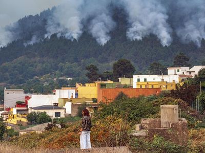 Penampakan Kebakaran Landa Hutan di Pulau Tenerife Spanyol