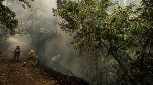 Potret Perjuangan Damkar Padamkan Kebakaran di Pulau Tenerife Spanyol
