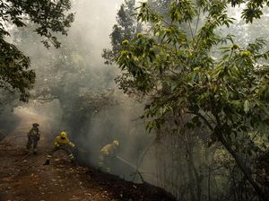 Potret Perjuangan Damkar Padamkan Kebakaran di Pulau Tenerife Spanyol