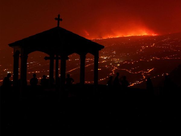 Potret Warga Siaga untuk Pantau Kebakaran Hutan di Pulau Tenerife