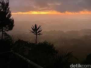 Puncak Manci, Tempat Camping dengan Panorama Laut Pangandaran