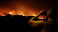 Video: Kebakaran Hutan Saat Gelombang Panas di Spanyol Tewaskan 2 Orang