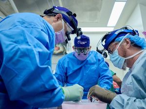 Cangkok Ginjal Babi Berhasil Berfungsi Dua Bulan dalam Tubuh Manusia