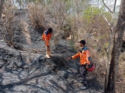 Kebakaran Lahan di Sendang Wonogiri, Lansia Tewas Terpanggang