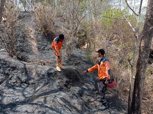 Kebakaran Lahan di Sendang Wonogiri, Lansia Tewas Terpanggang Kebakaran Lahan di Sendang Wonogiri, Lansia Tewas Terpanggang