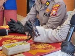 Akal Bulus Pria Nemu Jenglot di Parangtritis Lalu Kibuli Juragan Kos