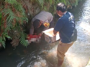 Heboh Penemuan Mayat Bayi Perempuan di Saluran Irigasi, Sempat Dikira Boneka