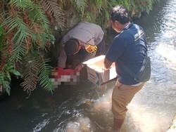 Heboh Penemuan Mayat Bayi Perempuan di Saluran Irigasi, Sempat Dikira Boneka