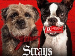 Sinopsis Film Strays: Balas Dendam Anjing yang Diterlantarkan