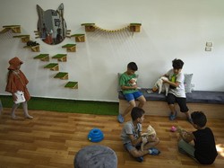 Kafe Kucing Pertama di Gaza, Oase di Tanah Konflik