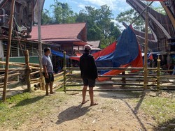 Polres Toraja Utara Bubarkan 4 Praktek Judi Sabung Ayam Dalam Sepekan