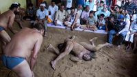Adu Kuat Pegulat India Saat Festival Pemujaan Ular