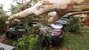 Badai Hilary Mengamuk, Mobil-mobil Ini Jadi Korban