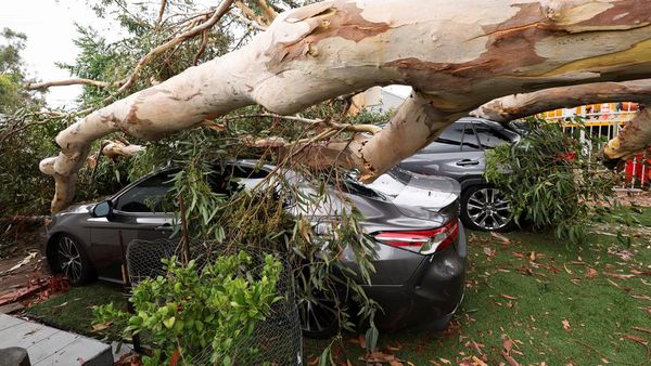 Badai Hilary Mengamuk, Mobil-mobil Ini Jadi Korban