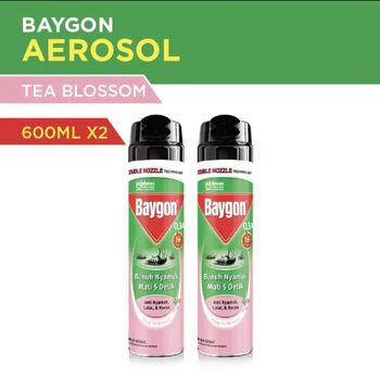 Baygon Aerosol